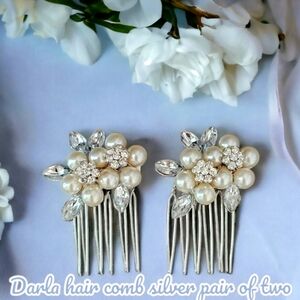 Darla hair comb silver Set of two